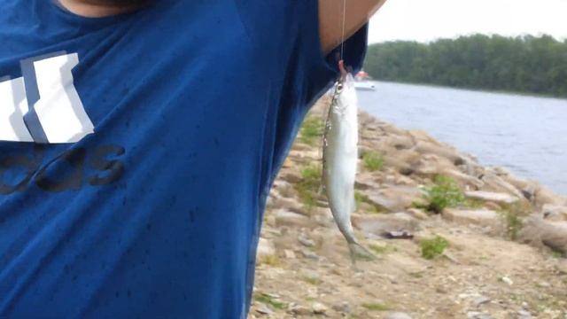 Клевая рыбалка видео-отчёт смотреть онлайн