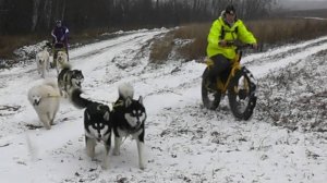 Воскресная практика, Вишняково, 18.11.18