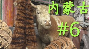 ዦ 10 ዣ Монгольский кумыс. Прогулки по рынку. Ч1