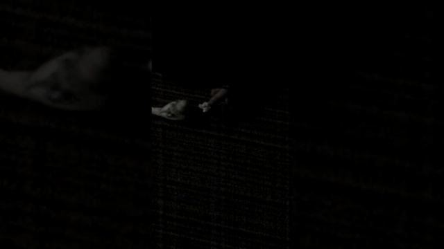 Animal trainer part 2 смотреть онлайн