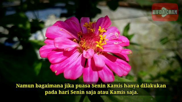 [Tuntunan] Bolehkah Puasa Senin Kamis Tapi Hanya Senin Saja atau Kamis Saja смотреть онлайн