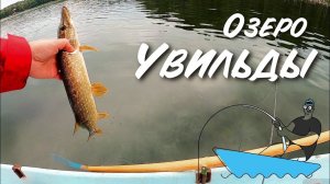 Мегапрозрачное озеро Увильды, в котором живет куча щуки и окуня