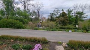 Ботанический сад, Владивосток. Прогулка обзор, состояния сада в мае. 10.05.2021.