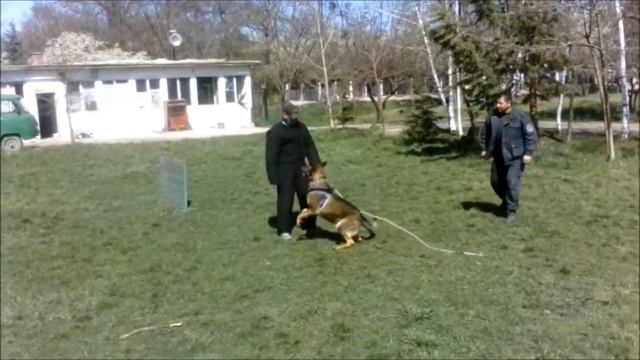 Обрадовци