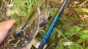 Metsui Trigger S562XUL. Он просто создан для Наноджига