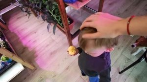 ГАЦАНИЯ.ЭКЗАКУМ.ВСХОДЫ ГАЦАНИИ И ЭКЗАКУМА.2022