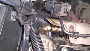 bmw b47  egr cooler and water drain plug recall