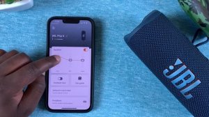 How To Adjust the Bass On the JBL Flip 6 Portable Speaker
