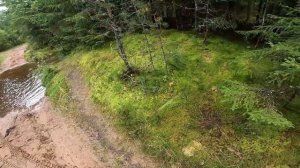 Нашли Самую Длинную Лужу - Питбайк Проедет? / Покатушки на питбайке Бсе 125 и Аполло 150