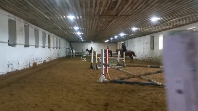 Немного видео с нашей конкурной тренировки. #chudohorse #лошади #конкур  #верховаяезда #конныйспорт