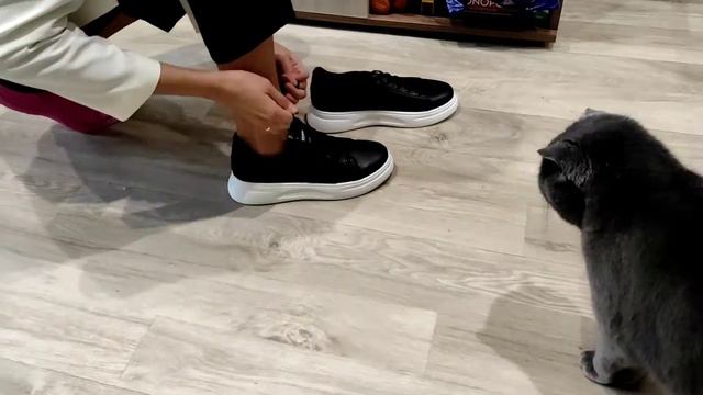 СБОРЫ на 1 СЕНТЯБРЯ📚🌹*10 класс* смотреть онлайн