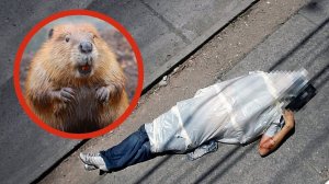 10 ЛЮДЕЙ, УМЕРШИХ ПРИ НЕОБЫЧНЫХ ОБСТОЯТЕЛЬСТВАХ