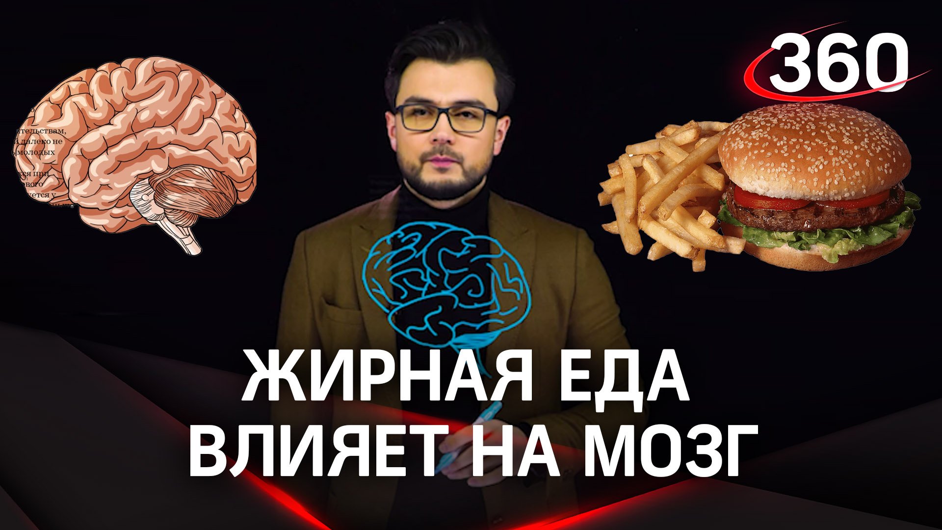 Жирная еда влияет на мозг | «Научпоп на 360» c Эльдаром Рахимовым