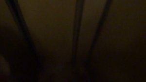 Электрический лифт (г. Дзержинский), V=0,71 м-с, г-п 320 кг (39)