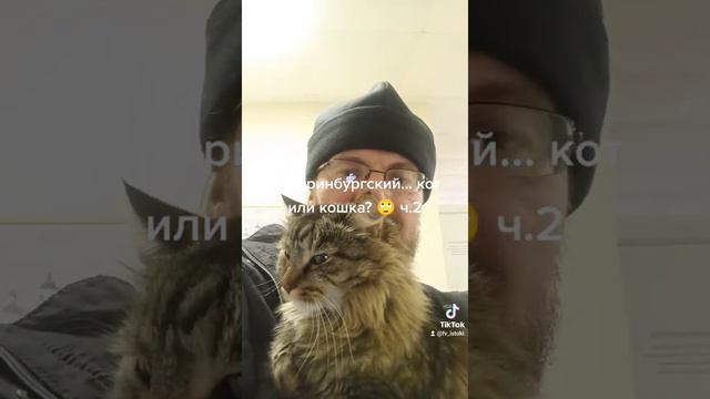 Екатеринбургск... кот или кошка? Ч. 2. смотреть онлайн