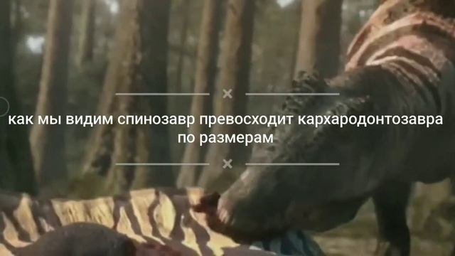 #спинозавр против кархародонтозавра