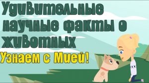 Удивительные факты о животных! Узнаем вместе с Мией! Детский умный мультик от проекта ЗНАЕМ САМИ