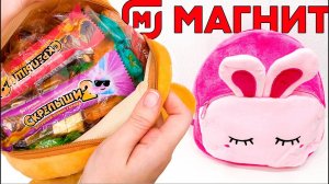 Нашла СКРЕПЫШЕЙ в НОВОГОДНЕМ ПОДАРКЕ или Самые МЯГКИЕ НОВОГОДНИЕ НЕДОРОГИЕ Подарки из Магнит