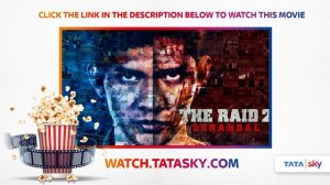 Watch Full Movie - The Raid 2