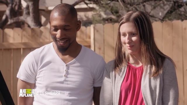 Питомцы на диете | Animal Planet. смотреть онлайн