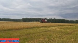 Как работают комбайны Ростсельмаш в поле.