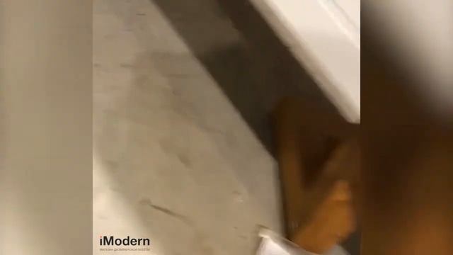 Тумба TV Avalon, обзор тумбы под телевизор