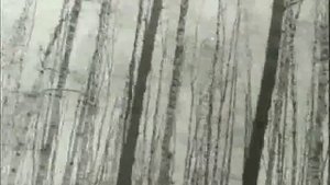 Лариса Мондрус У всех по разному