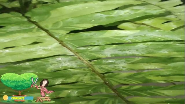 SAMAMBAIA AMERICANA VARIEGATA #SamambaiaAm смотреть онлайн