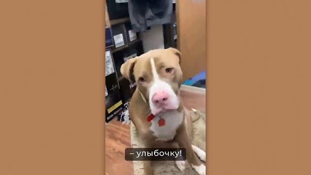 как они это делают смотреть онлайн