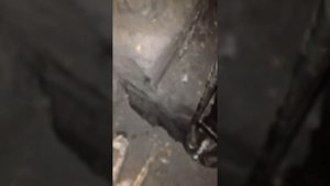 Работа гидроклина 3563