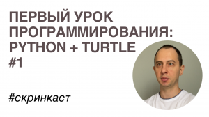 Ваш первый урок программирования: Python + Turtle #1