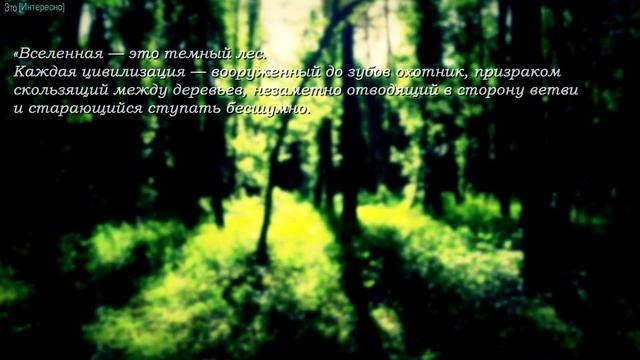 Что такое теория Тёмного леса?