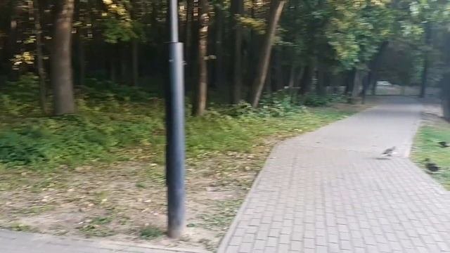 Красногорск. Городской парк