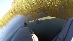 Ловля щуки на кренки. Rapala X-Rap. Рыбалка на пруду.