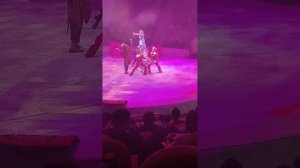 Загадка старой игрушки в Ивановском цирке.#2 #Загадка_старой_игрушки