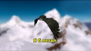 Полёт Кондора