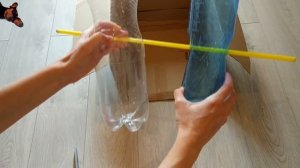 DIY - простые ИГРУШКИ для СОБАК из пластиковых бутылок своими руками | Таксы тестируют  игрушки