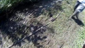 Шевроле Аваланч на 35 и Нива на 29 колесах в одной колее.  А так же Уаз, Чироки, Террано, 4раннер.