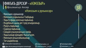 #38 «Нэмэзым и рукынхэр» — Щхьэныкъуэ Анзор