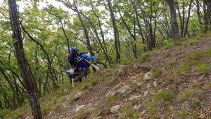 На regulmoto cr-z 300. Опять спалил сцепу((