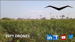 Drone sprayer spraying on flowers/Rose/Drone spraying/Drone In Tamilnadu/ #drone #rose #dronespraye