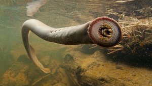Самые опасные озера и водоемы в мире