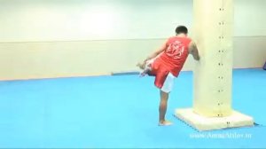 Боковой удар ногой