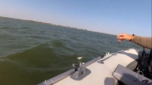 Рыбалка на Веселовском водохранилище Маныч ! Бешенный клев крупной плотвы тарани и красноперки!