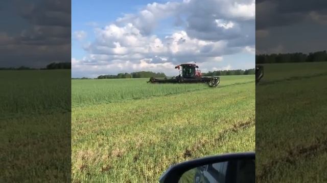 Заготовка силоса в Солянке.mp4 смотреть онлайн