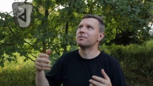 Руна Вуньо. Основные значения и энергетика