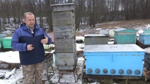 Работы на пасеке. Улей Дадан и Владимирский улей сравнение. Что вам интересно?