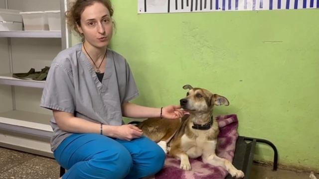 История Бархана смотреть онлайн