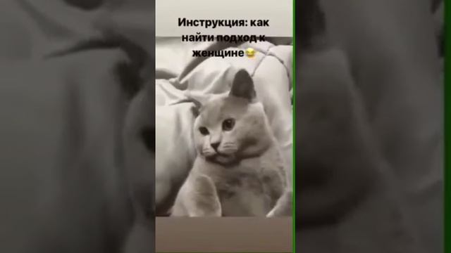 Как найти подход к женщине