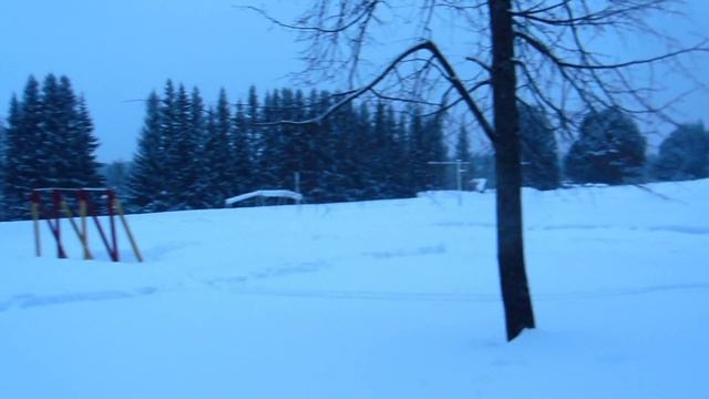 г. Ивдель парк Кедровник смотреть онлайн